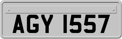 AGY1557