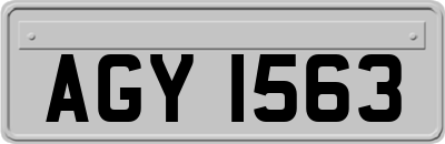 AGY1563