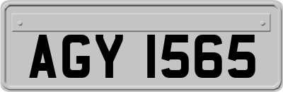 AGY1565
