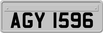 AGY1596