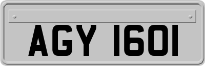 AGY1601