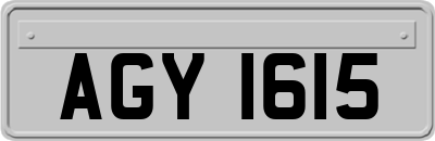 AGY1615