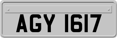 AGY1617