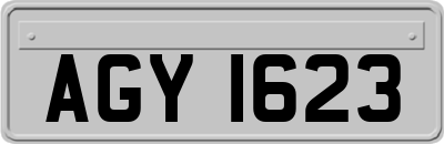 AGY1623
