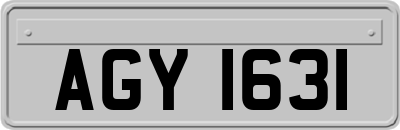 AGY1631