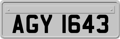 AGY1643