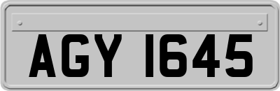 AGY1645