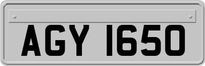 AGY1650