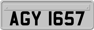 AGY1657