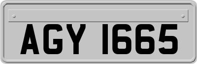 AGY1665