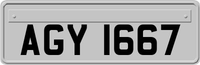 AGY1667