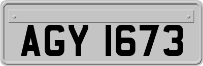 AGY1673