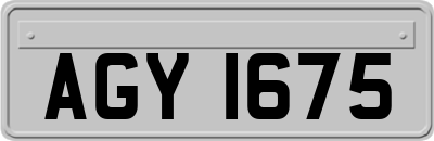 AGY1675