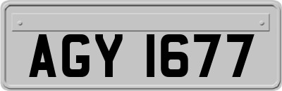 AGY1677