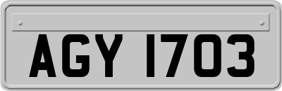 AGY1703