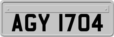 AGY1704