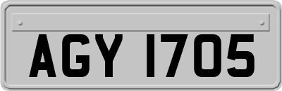 AGY1705