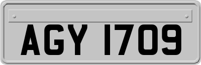 AGY1709