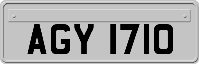 AGY1710