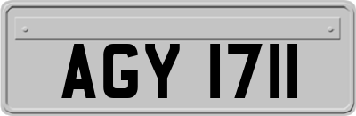 AGY1711