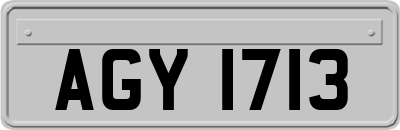 AGY1713