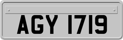 AGY1719