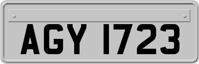 AGY1723