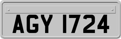 AGY1724
