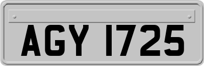 AGY1725