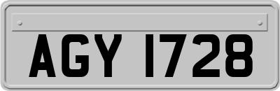 AGY1728