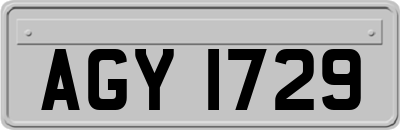AGY1729