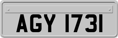 AGY1731
