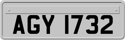 AGY1732