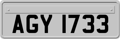 AGY1733