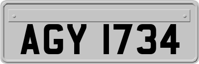 AGY1734
