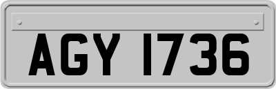 AGY1736
