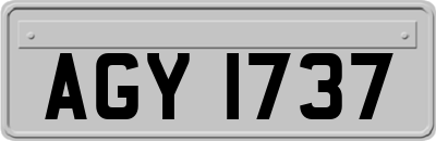 AGY1737