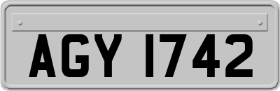 AGY1742