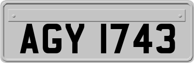 AGY1743