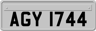 AGY1744