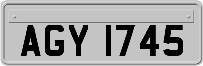 AGY1745