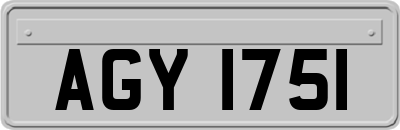 AGY1751