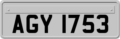 AGY1753