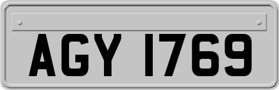 AGY1769