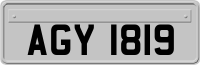 AGY1819