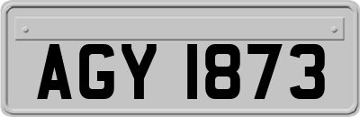 AGY1873