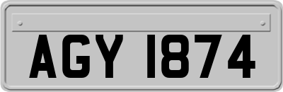 AGY1874