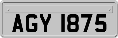 AGY1875
