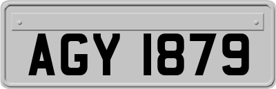 AGY1879