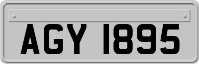 AGY1895
